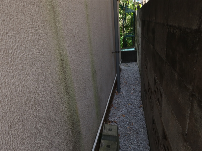 上にある窓の枠からの伝い水の汚れにコケがついています。